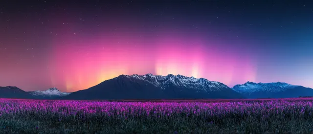 Flower vally sky overlay 2048x preview