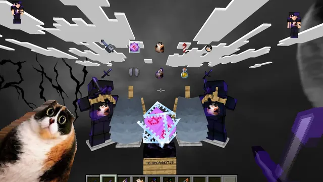 Shadow Kitty PvP